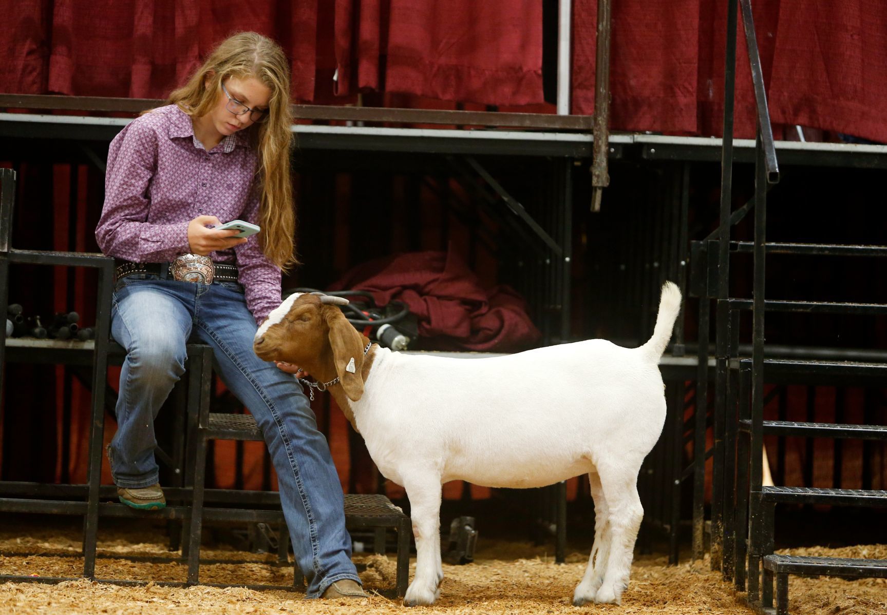 Megan Smith of the Johnny Buckaroos 4-H club